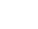 pro-drive-white Pro Drive IT