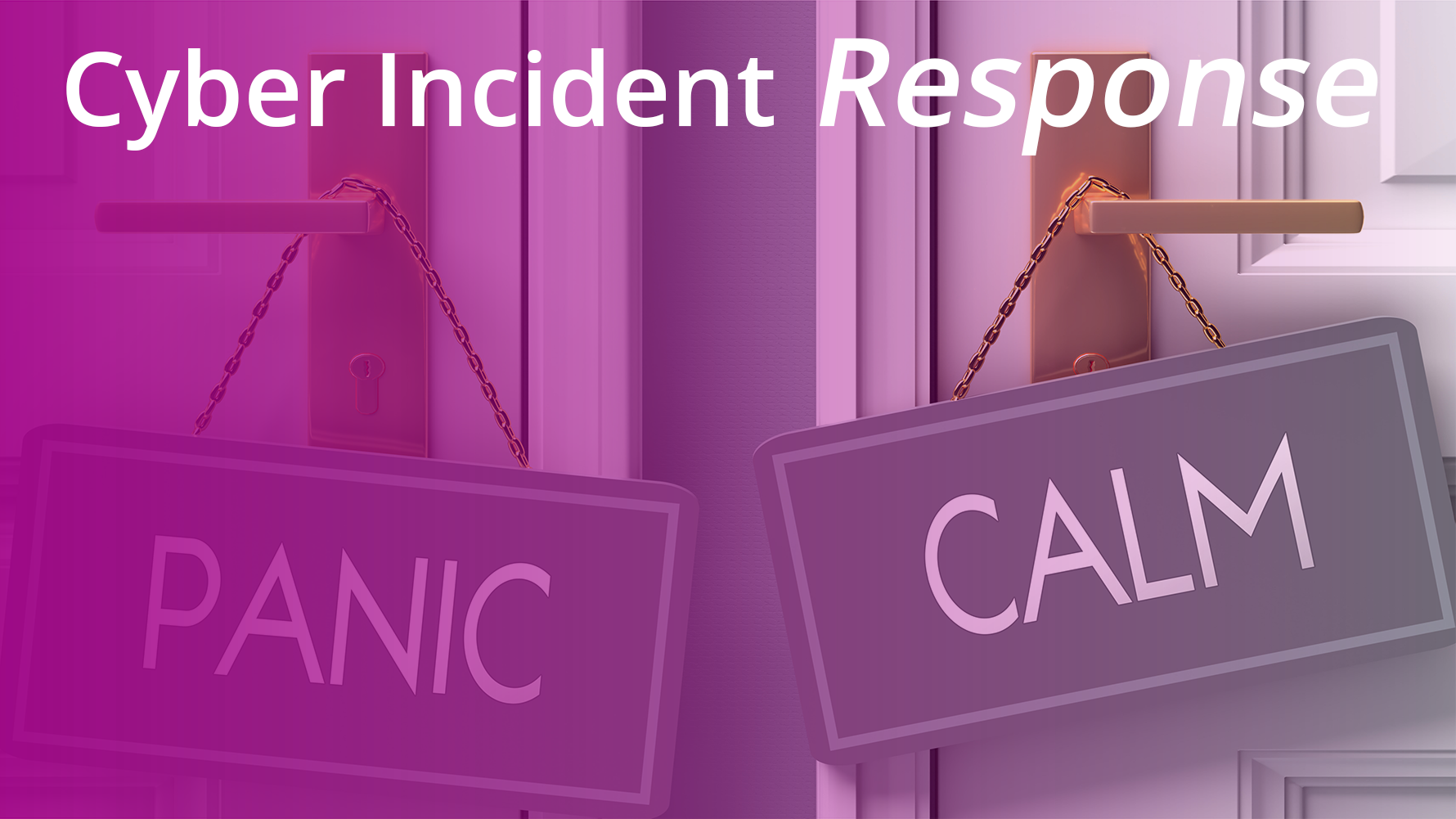 Cyber Incident Response Plan