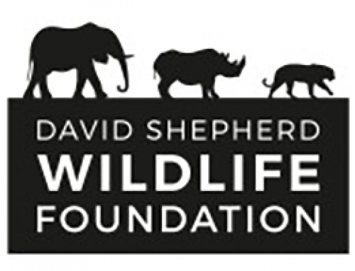 David Shepherd Wildlife Foundation