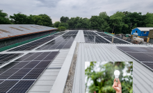 Ashstead Engineering renewable energy sources