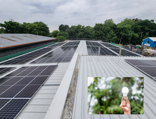 Renewable energy sources make business sense!